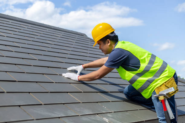 Professional Roofing Contractor in Mount Vernon, TX